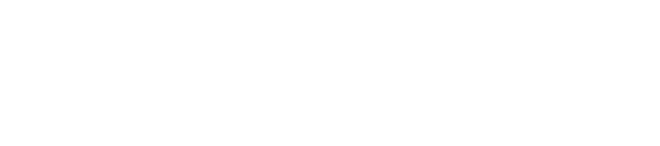 BIO CEO & Investor Logo